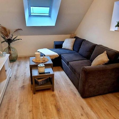 Appartement Charmant Et Spacieux Осер Екстер'єр фото